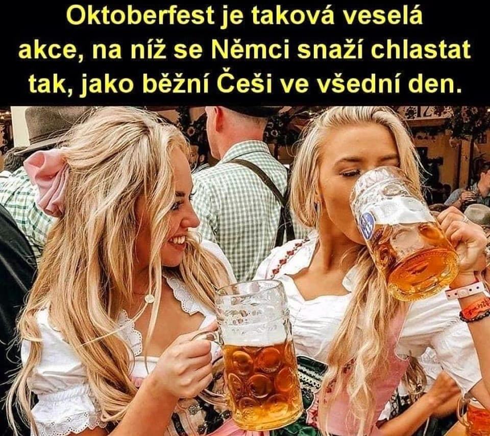 Obrázek Alkohol je metla lidstva