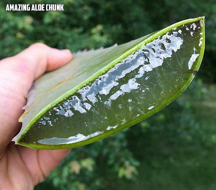 Obrázek AloeChunk