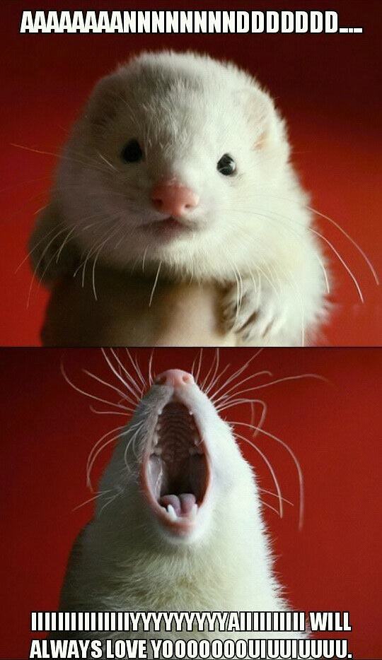 Obrázek Alwaysloveyou