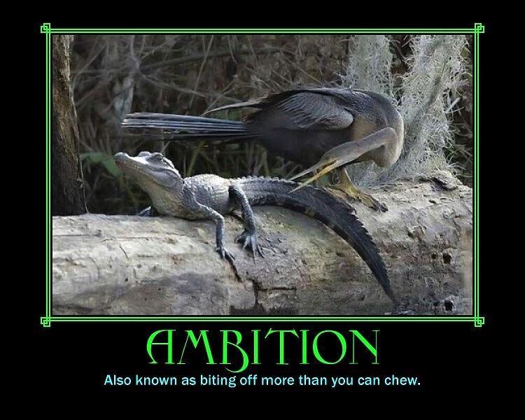 Obrázek Ambition