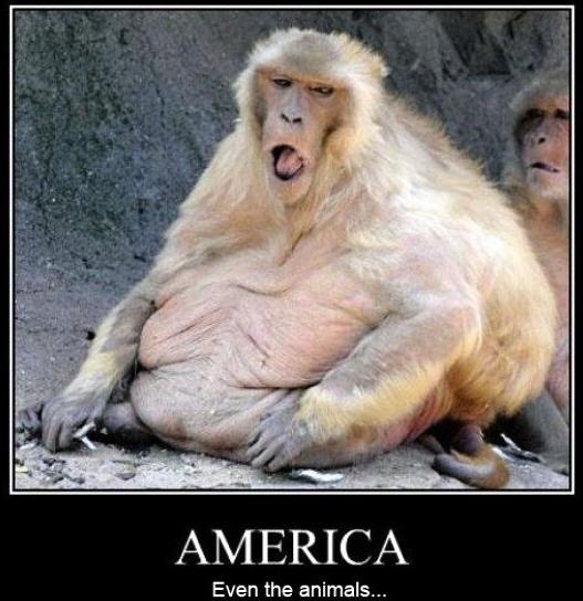 Obrázek America today