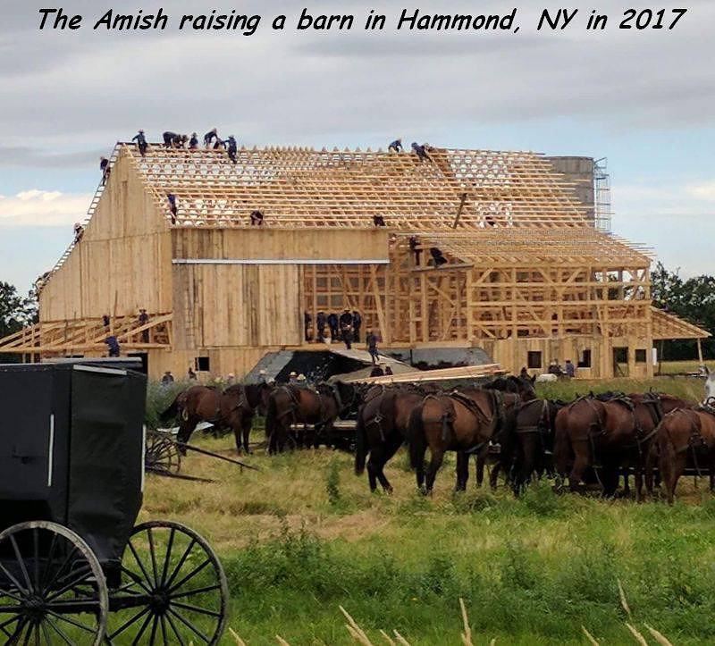 Obrázek AmishRaising