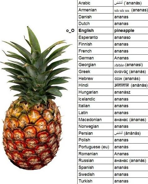 Obrázek Ananas english language
