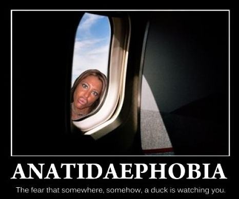 Obrázek Anatidaephobia - 30-04-2012