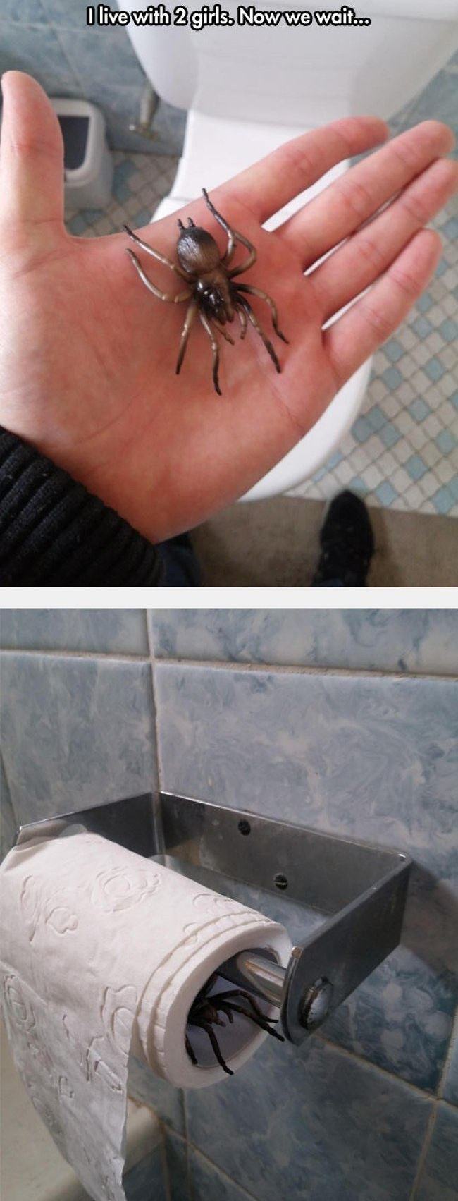 Obrázek And&nbsp;Now&nbsp;We&nbsp;Waitt