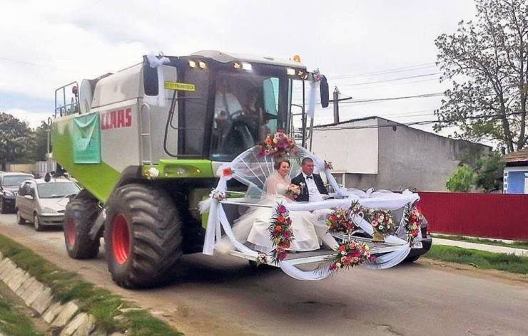 Obrázek And the farmer and his wife lived happily ever after