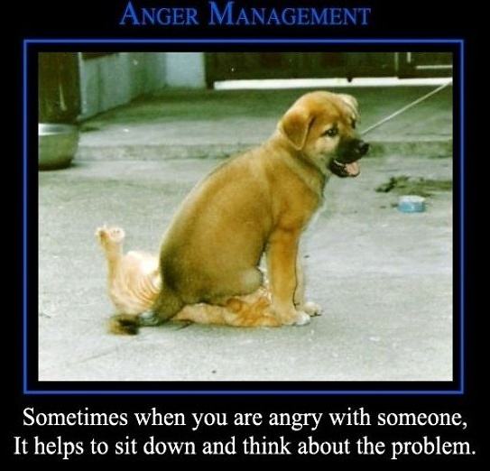 Obrázek Anger Management 06-01-2012