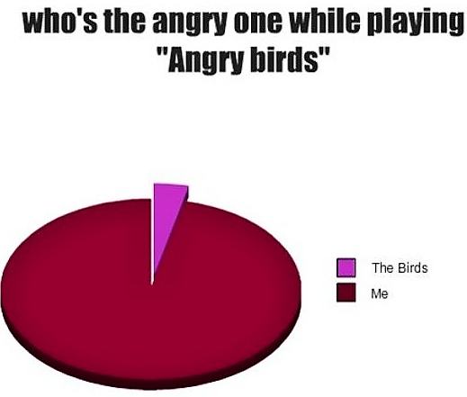 Obrázek Angry Birds 290511