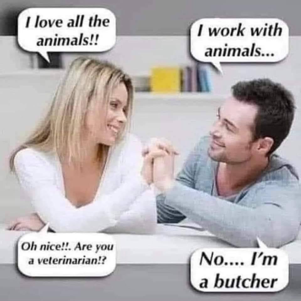 Obrázek AnimalLove
