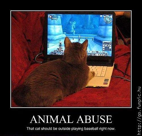 Obrázek Animal Abuse 10-01-2012