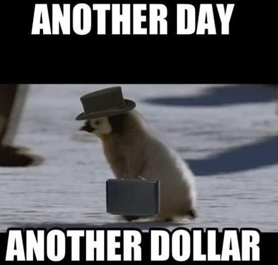 Obrázek Another-day-meme
