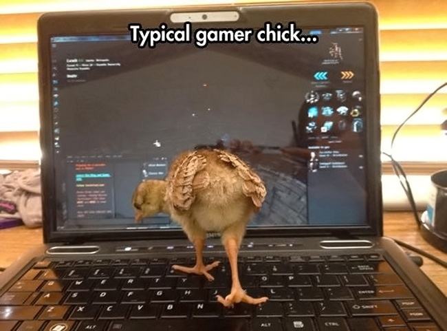 Obrázek Another-gamer-chick