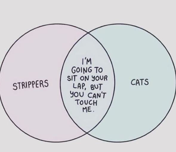 Obrázek Another venn diagram