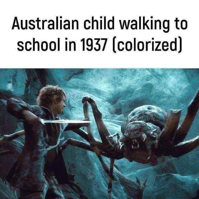Obrázek Australia is hell