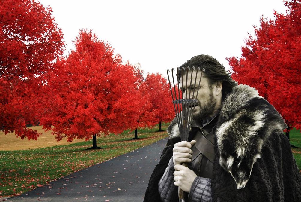 Obrázek Autumn is coming