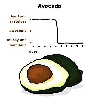 Obrázek Avocado graph 27-02-2012