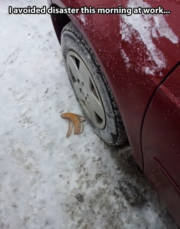 Obrázek Avoided Disaster
