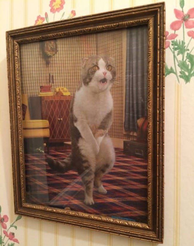 Obrázek Awesome&nbsp;Artwork-Cat