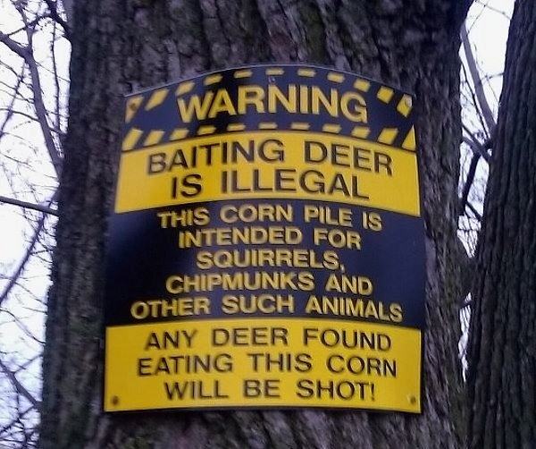 Obrázek Baiting Deer Is Illegal