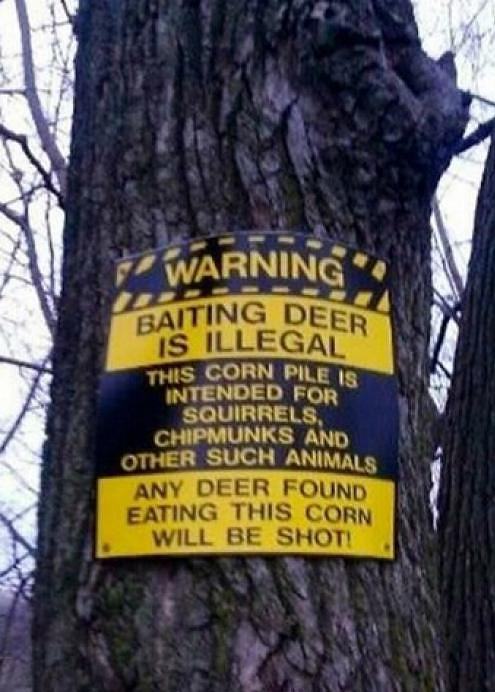 Obrázek Baiting deer is illegal