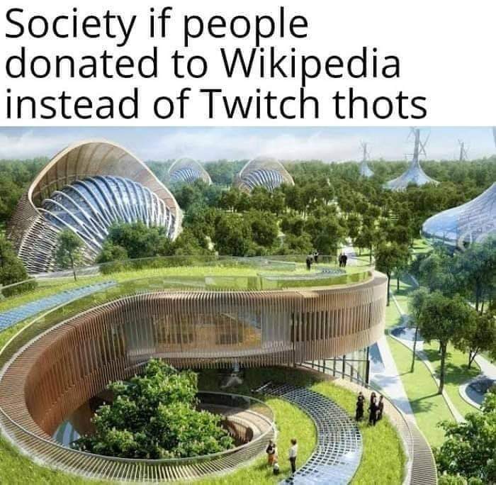 Obrázek Ban Twitch