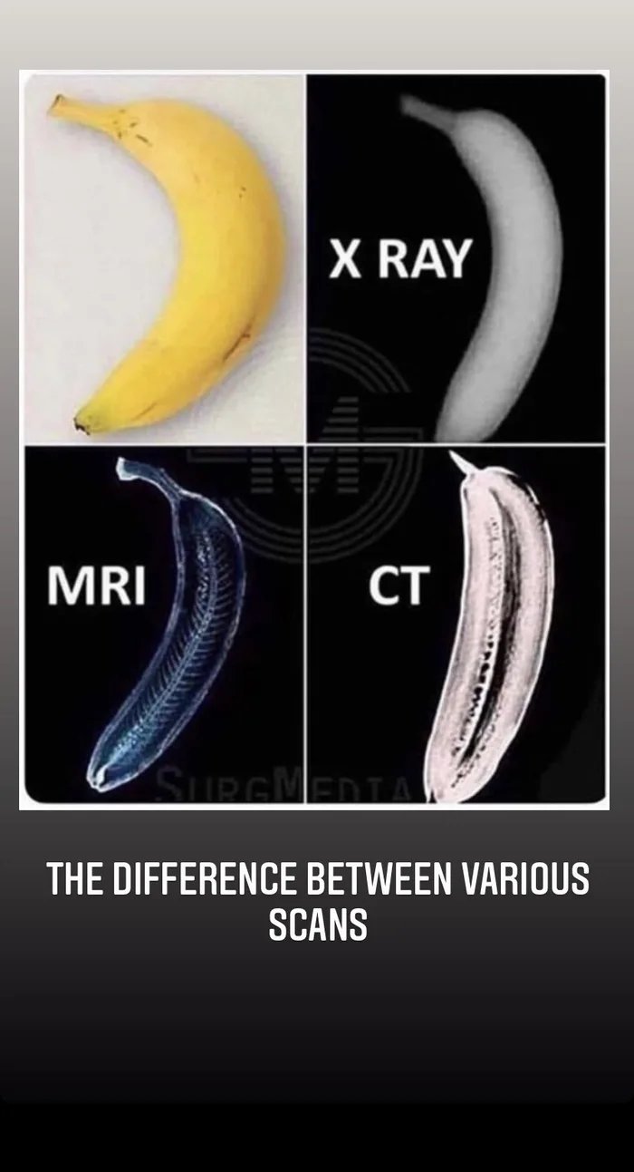 Obrázek Banana-for-scale