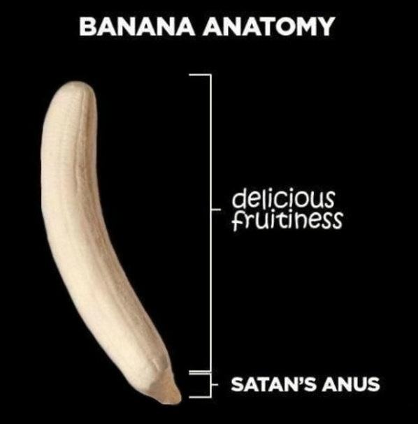 Obrázek Banana Anatomy