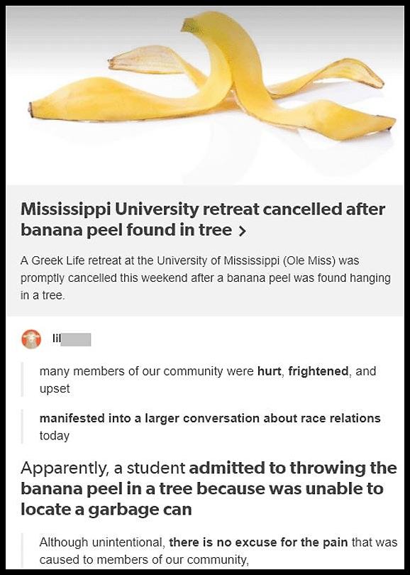 Obrázek Banana Peel2487