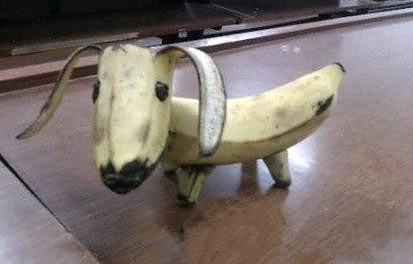Obrázek Banana dog 26-03-2012