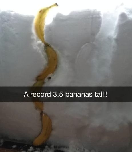 Obrázek Bananas&nbsp;for&nbsp;scale