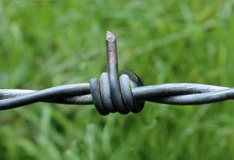 Obrázek Barbed Wire - when you see it