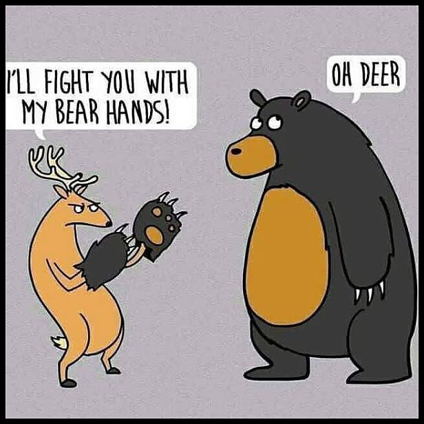 Obrázek BearHands 