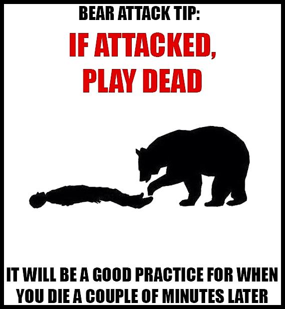 Obrázek Bear Attack Tip   