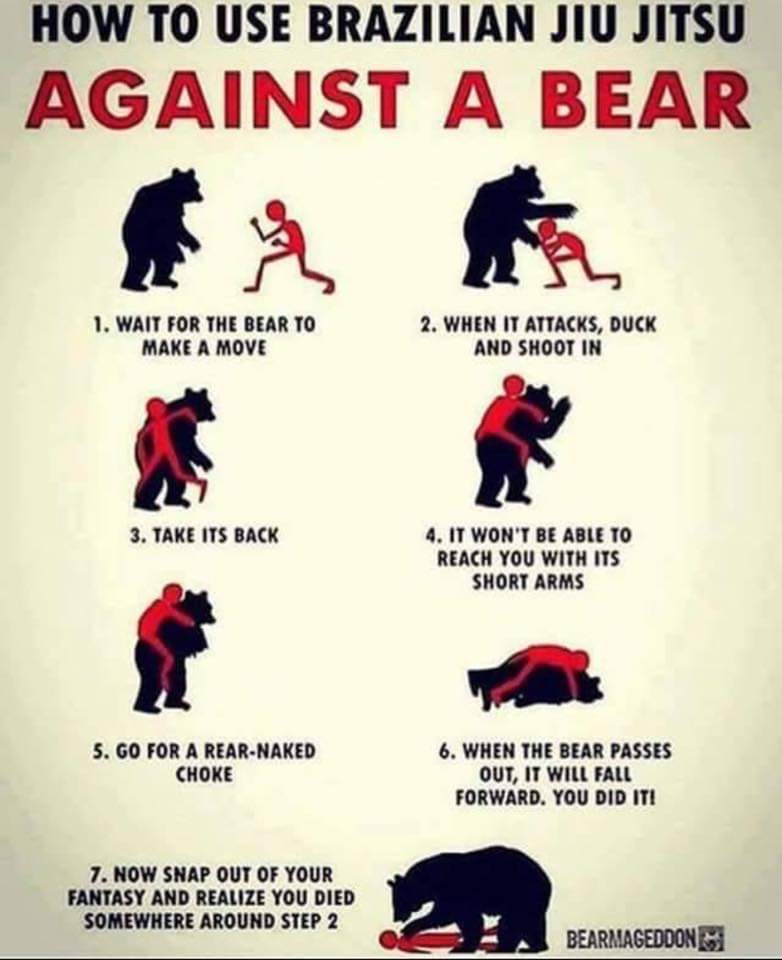 Obrázek Bear attack