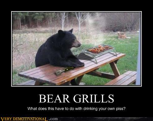 Obrázek Bear grills again