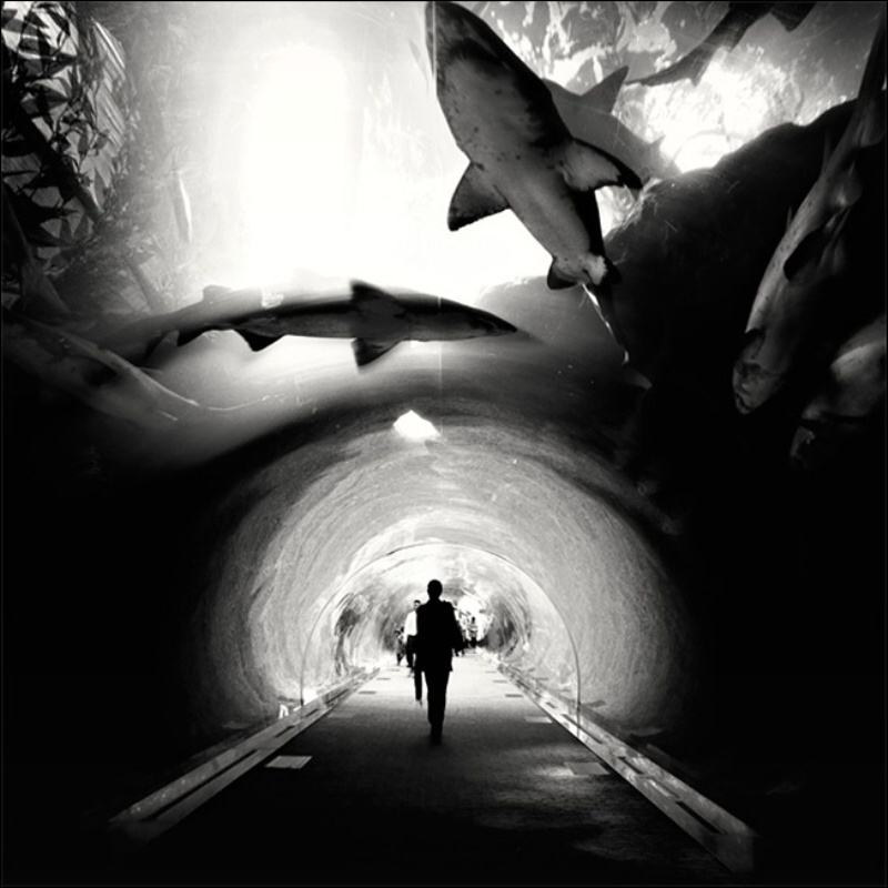 Obrázek Beautiful Black And White Photos2