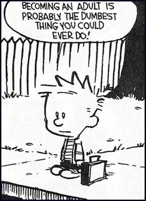 Obrázek Becoming&nbsp;An&nbsp;Adult