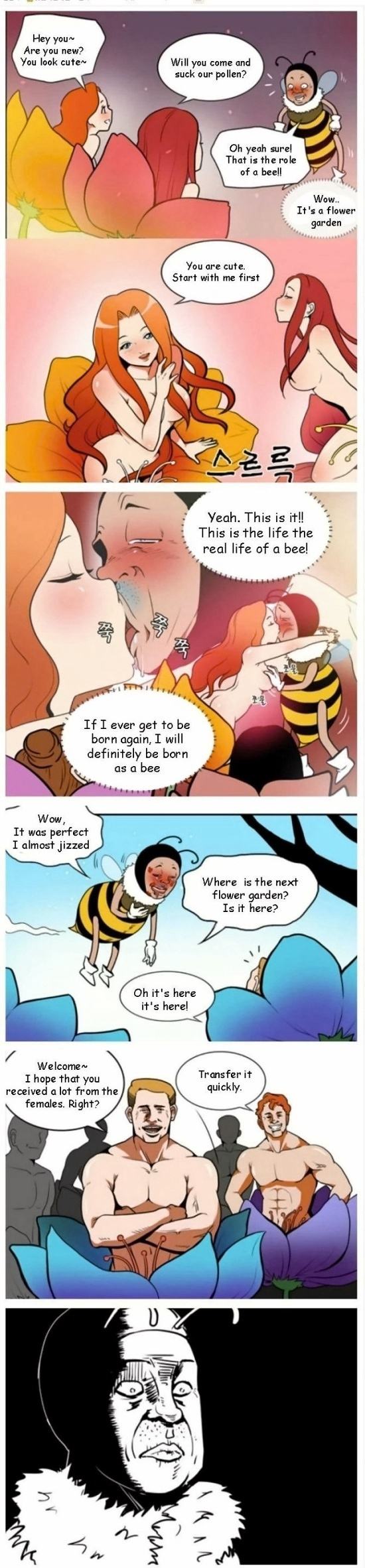 Obrázek Bee5788