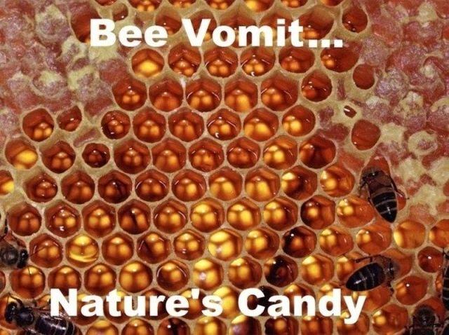 Obrázek Bee vomit