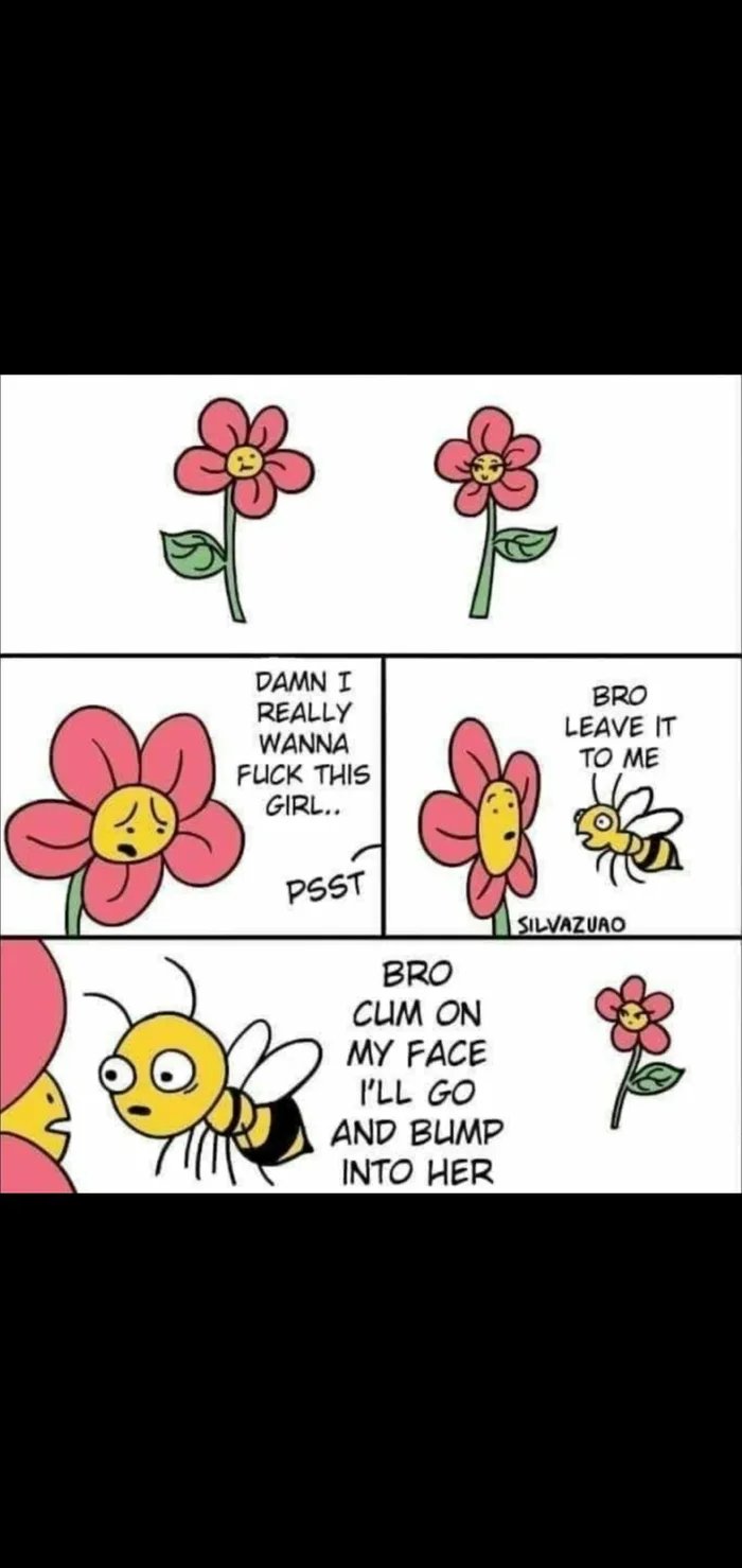 Obrázek Bees