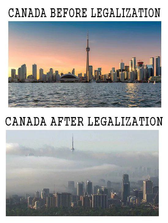 Obrázek Before and after legalization