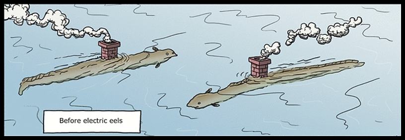 Obrázek Before electric eels