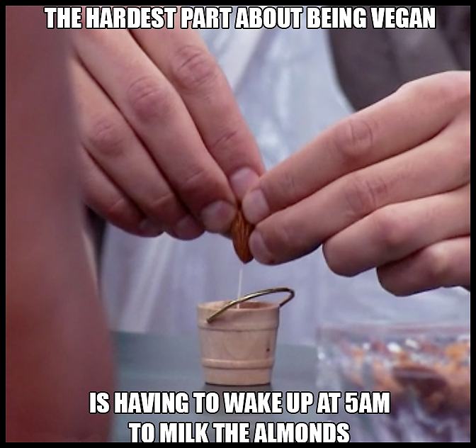 Obrázek Being Vegan Is Hard   