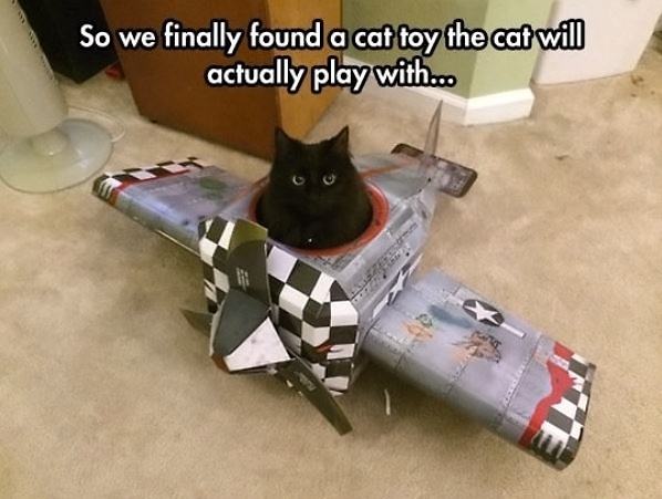Obrázek Best Cat Toy   