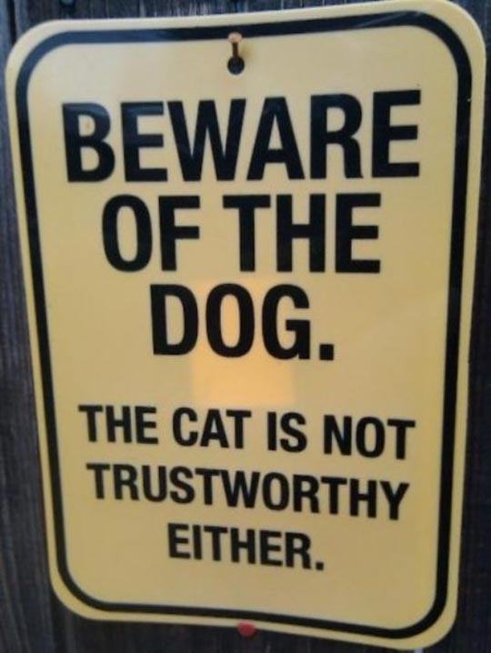 Obrázek Beware Of The Dog