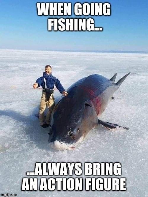 Obrázek BigFish