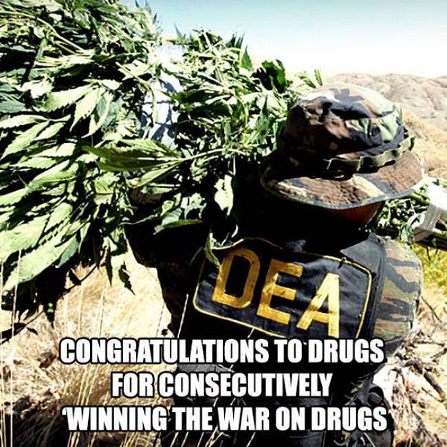 Obrázek Big Congrats To DRUGS