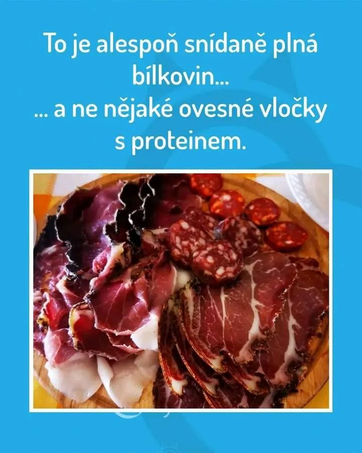 Obrázek BilkovinyXnidani