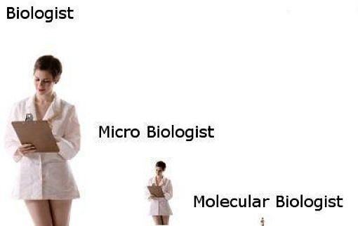 Obrázek Biologists - 24-04-2012