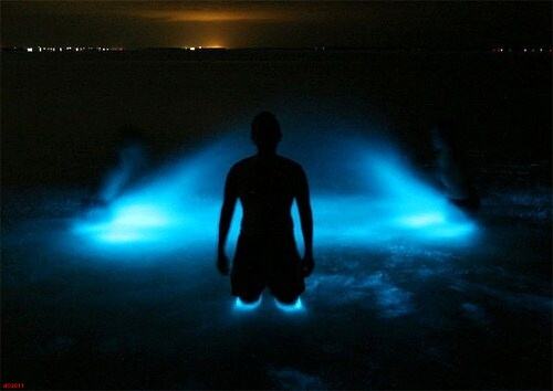 Obrázek Bioluminescent-lake-in-Australia-006